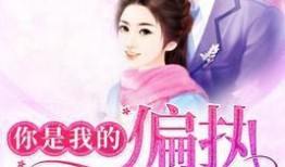 你迷上我了在线观看,一场跨越时空的浪漫邂逅