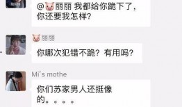 吃瓜微信群免费聊天记录,免费聊天记录背后的欢乐与秘密