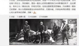 广州彩虹爆料事件始末视频,揭秘背后真相与网络舆论风暴