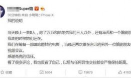 娱乐爆料什么伟,揭秘神秘明星伟生的背后故事