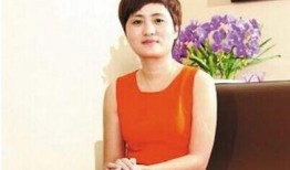 辽宁女老板爆料新闻,揭开企业内幕，揭秘权力斗争与利益纠葛