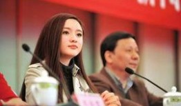 辽宁女老板爆料新闻,揭开企业内幕，揭秘权力斗争与利益纠葛