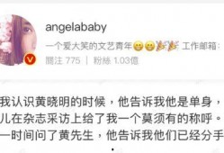 内娱吃瓜小说免费阅读,揭秘娱乐圈背后的吃瓜秘闻
