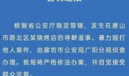 廊坊高中爆料案件最新,真相揭开，校园安全再引关注”