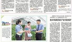 北京法制新闻爆料赌博,法制新闻曝光最新案例
