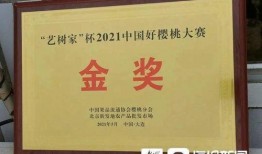 冰国女王爆料视频播放,独家爆料视频幕后真相