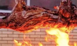 内蒙古羊肉爆料事件视频,揭秘视频背后的真相与争议