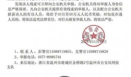 江浙老板爆料缅北视频播放,缅北视频背后的惊人真相