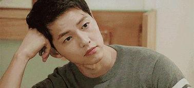 娱乐圈最火的吃瓜网红,揭秘最火吃瓜网红的瓜界传奇